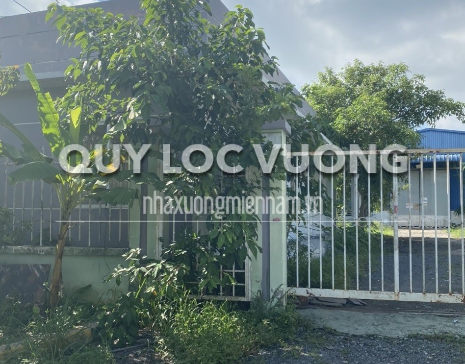 Cho thuê hoặc bán xưởng khuôn viên 800m2 ở An Phước, Long Thành, 14 tỷ