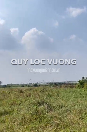 Cho thuê đất làm bãi xe 15.000m2 ở Bình Mỹ, Củ Chi, HCM, 70tr/tháng