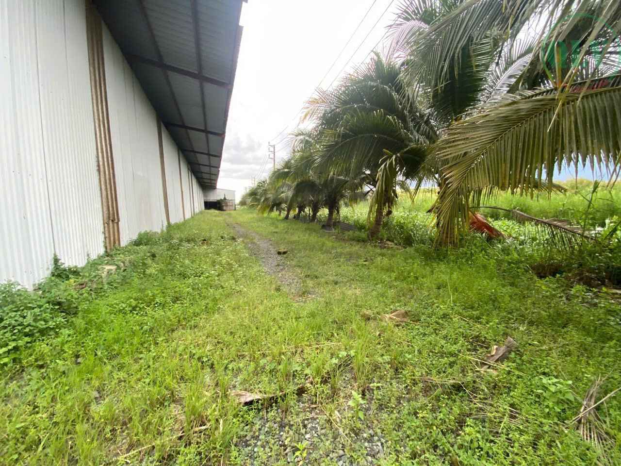 Bán/cho thuê xưởng KV 65.516m2 ở Tân An, Long An, 40.000đ/m2