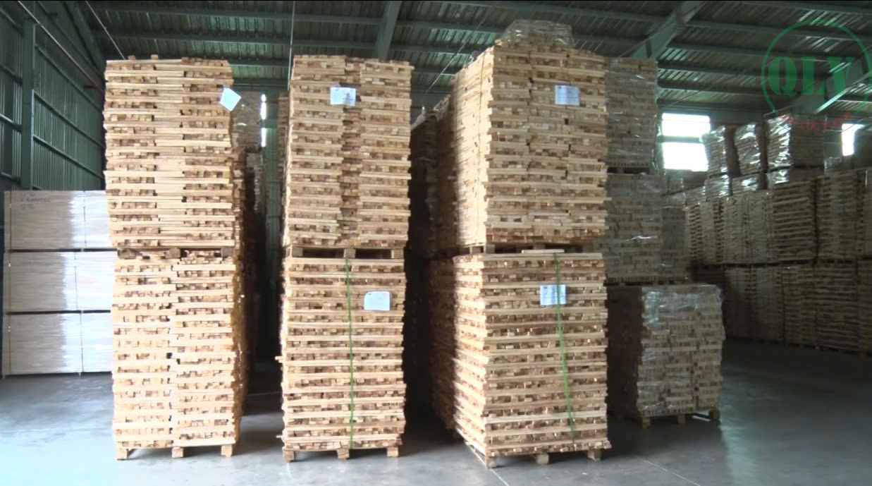 Cho thuê xưởng ngành gỗ 20.000m2 ở Gò Dầu, Tây Ninh