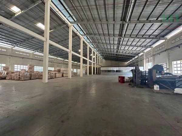 Cho thuê xưởng ngành gỗ 20.000m2 ở Gò Dầu, Tây Ninh
