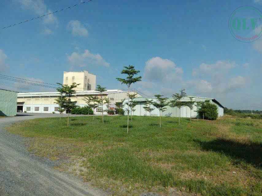 Bán xưởng khuôn viên 116.500m2, chất lượng tốt, hạ tầng hoàn chỉnh tại Gò Dầu, Tây Ninh