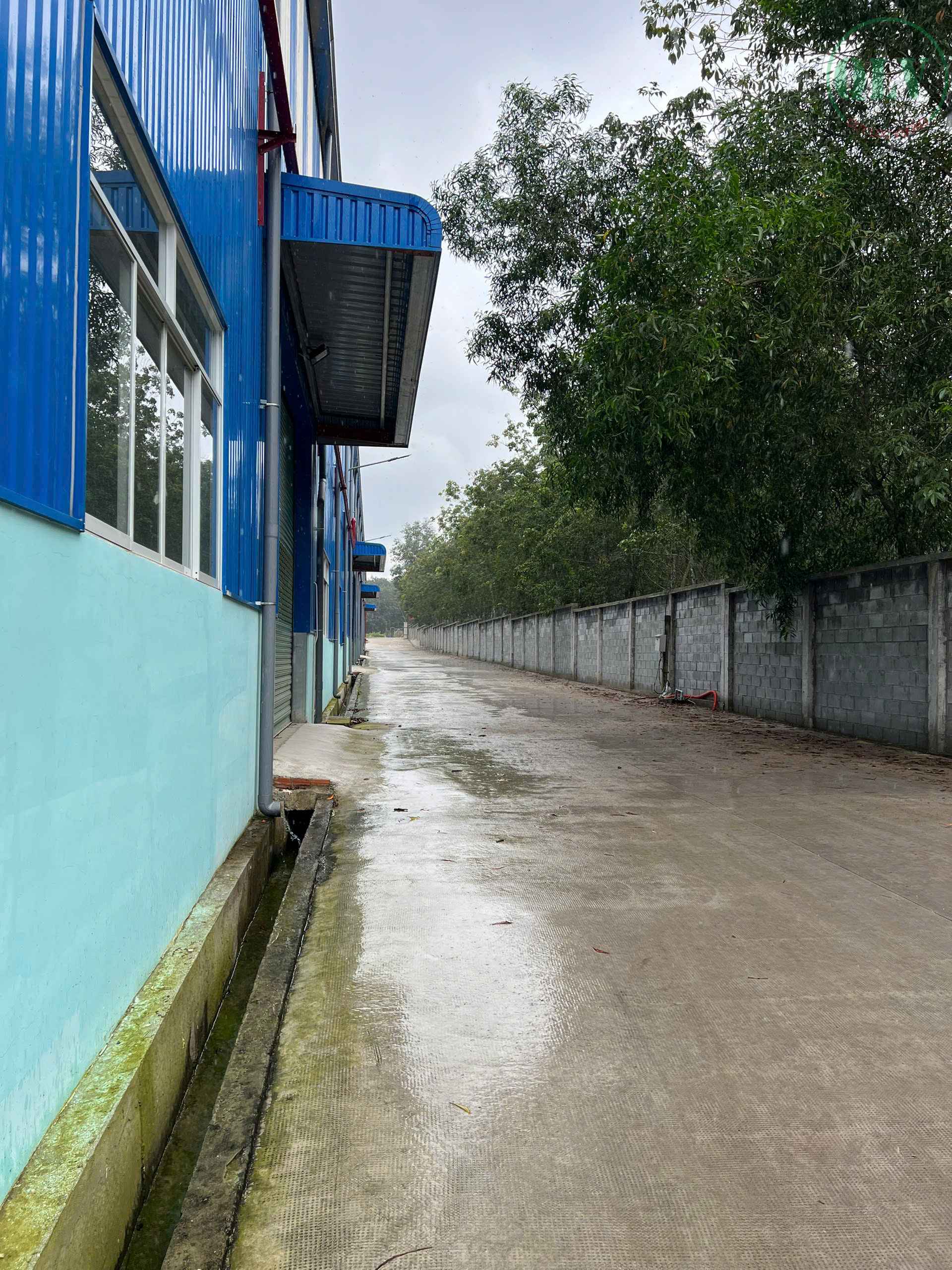 Cho thuê nhà xưởng Bình Dương, xưởng đẹp, trạm điện 630 KVA, 2.2 USD/m²